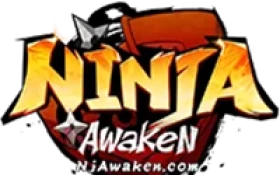 Ninja Awaken