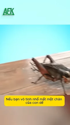 Tay người có mọc lại được không?