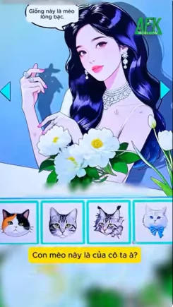 Giúp Tiểu Mỹ chọn mèo cưng