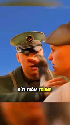 Chú vịt ra chiến trường