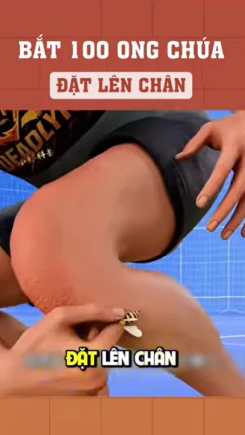 Bắt 100 ong chúa đặt lên chân để làm gì?