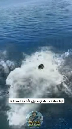 Anh chàng nhảy xuống biển và dùng áo để bắt cá