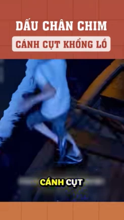 Dấu chân chim cánh cụt khổng lồ