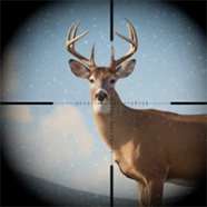 Trophy Hunter
