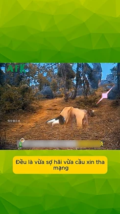 Sự thật Kim Sí Điểu không coi Như Lai ra gì trong Tây Du Ký