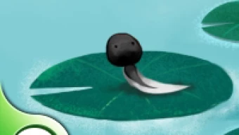 Bể Cá Mộng Mơ H5