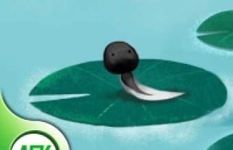 Bể Cá Mộng Mơ H5