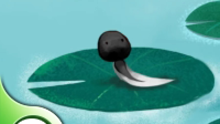 Bể Cá Mộng Mơ H5