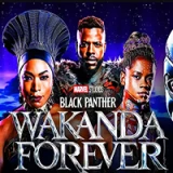Black Panther Wakanda Forever