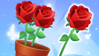 Bloom Match Story
