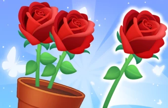 Bloom Match Story