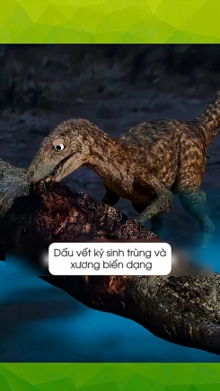 Bí ẩn về loài khủng long lớn nhất lịch sử