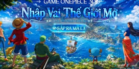 Pirate Legends: Huyền Thoại Hải Tặc game MMORPG 3D chủ đề One Piece đến từ Dev Việt